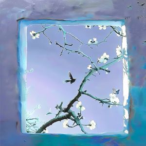 乱尘秘录三部曲是哪三部
