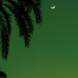 乱尘秘录三部曲是哪三部
